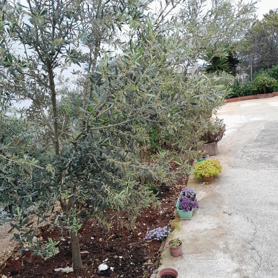 Denni'S Home Sarande Bagian luar foto