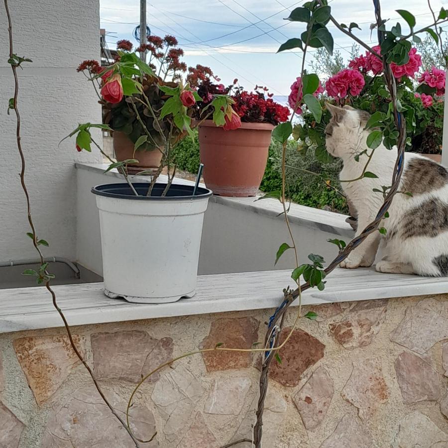 Denni'S Home Sarande Bagian luar foto