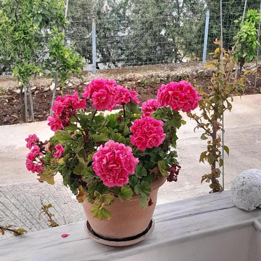 Denni'S Home Sarande Bagian luar foto