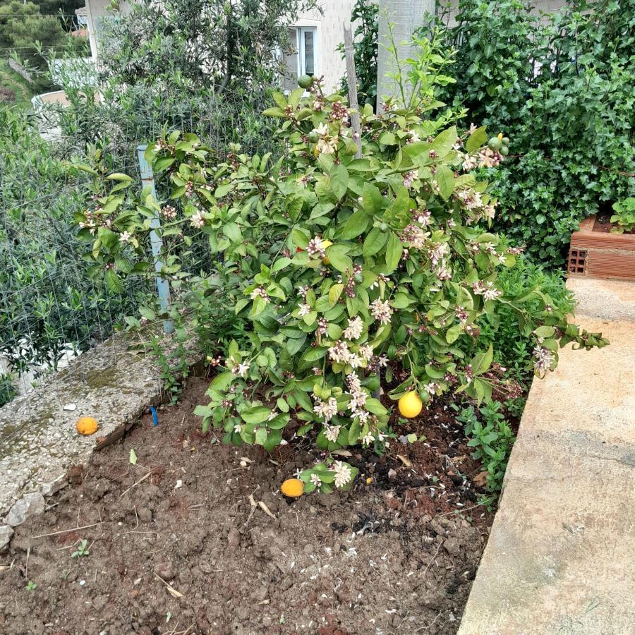 Denni'S Home Sarande Bagian luar foto