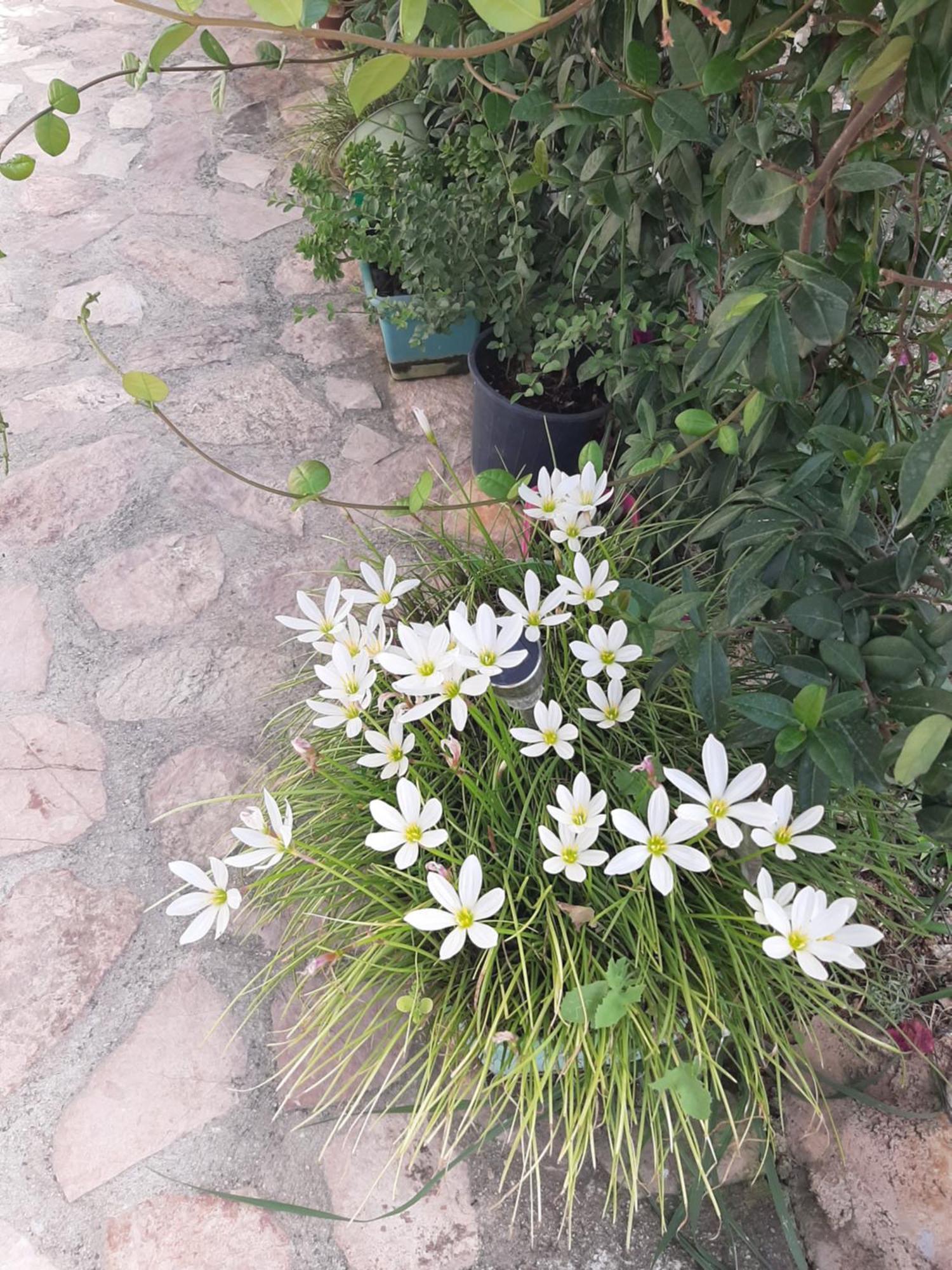 Denni'S Home Sarande Bagian luar foto