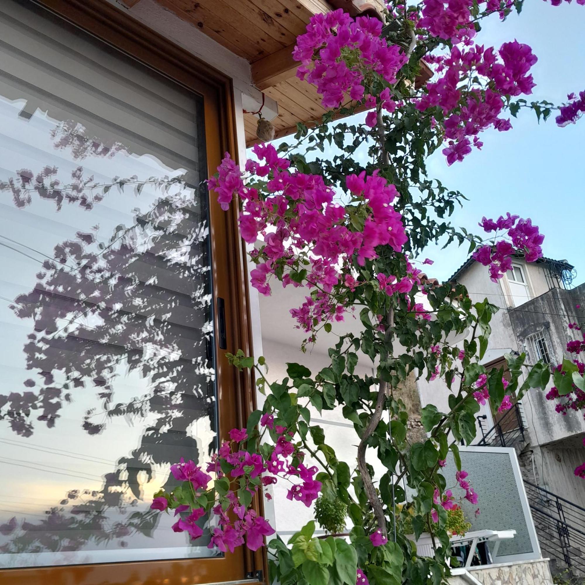 Denni'S Home Sarande Bagian luar foto