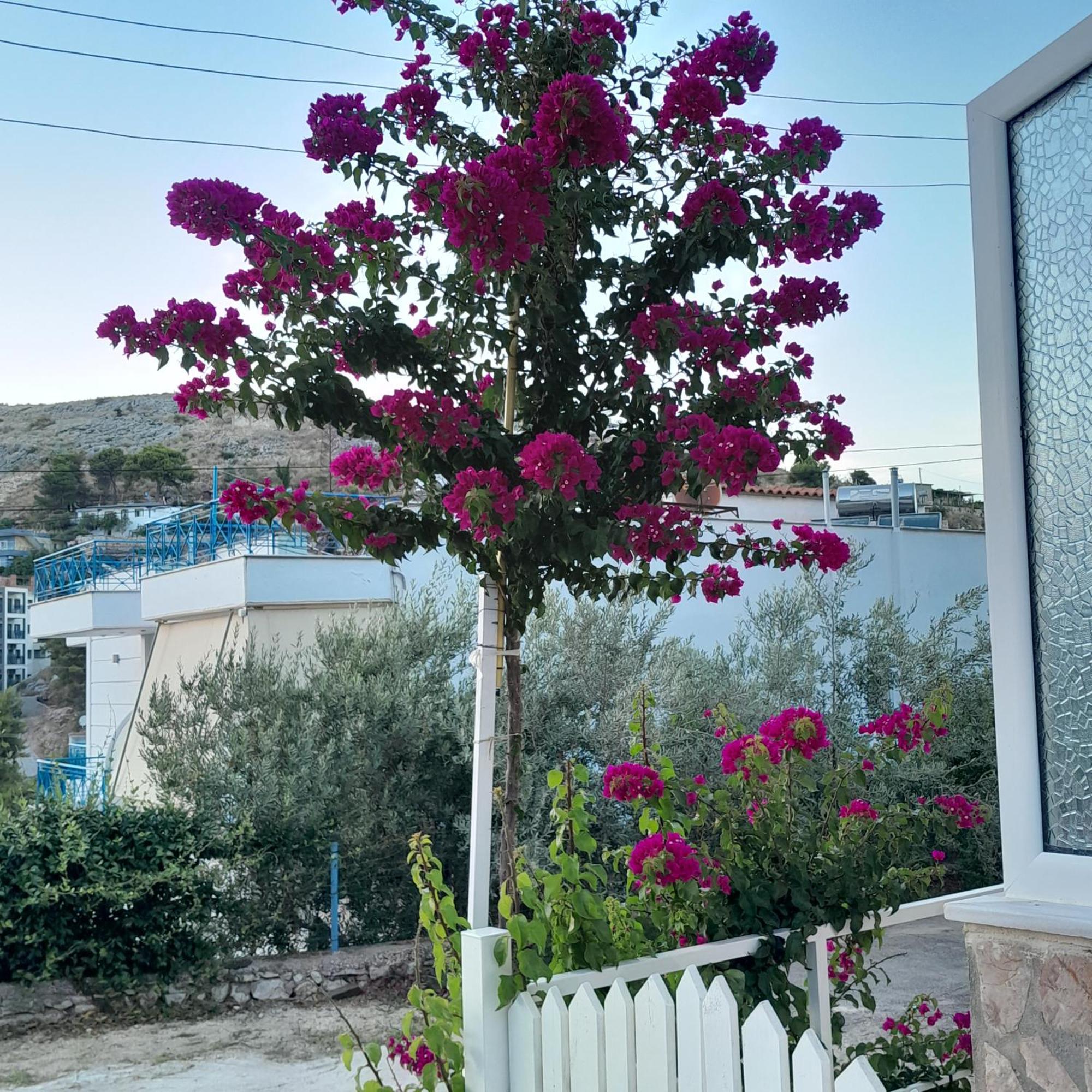 Denni'S Home Sarande Bagian luar foto