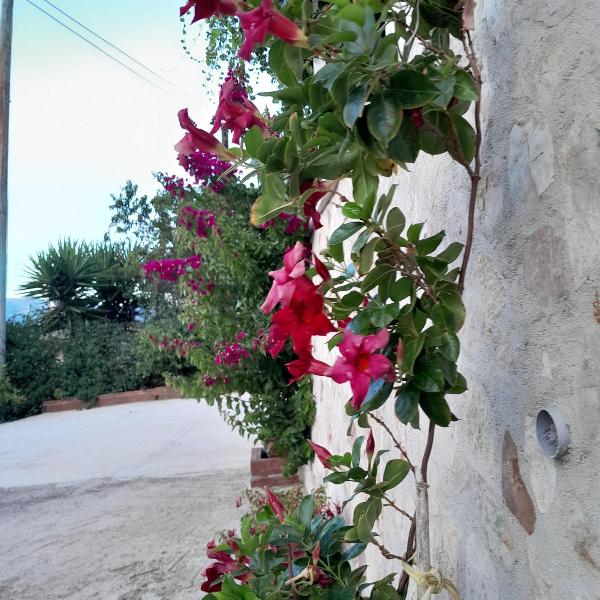 Denni'S Home Sarande Bagian luar foto
