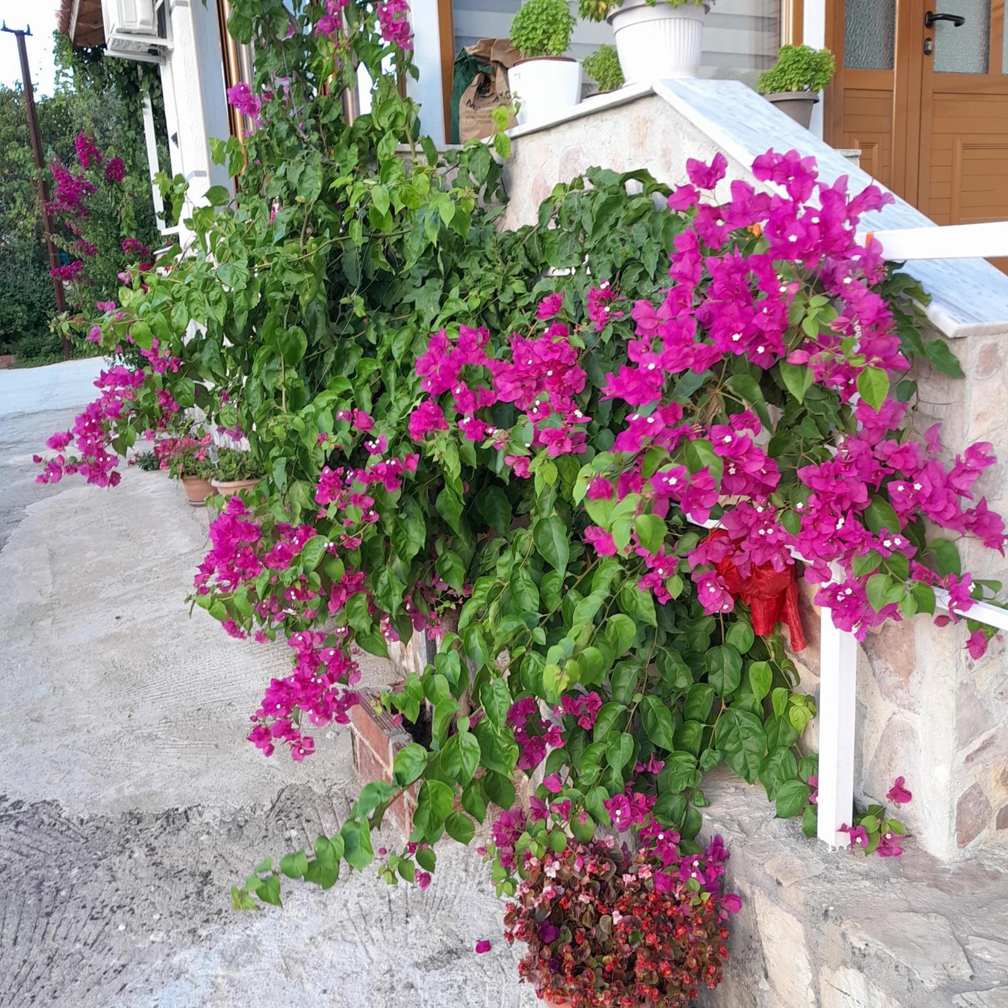 Denni'S Home Sarande Bagian luar foto