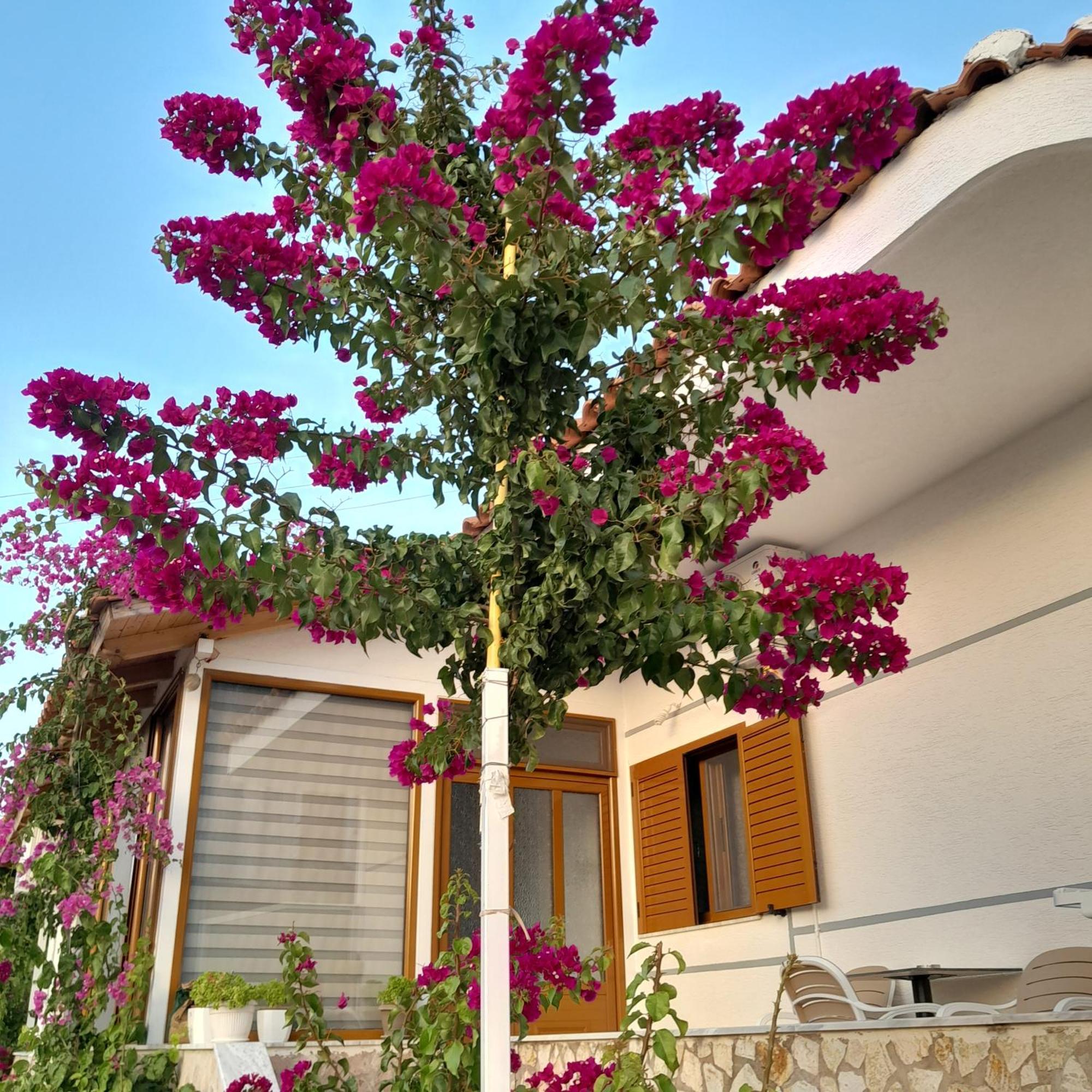 Denni'S Home Sarande Bagian luar foto